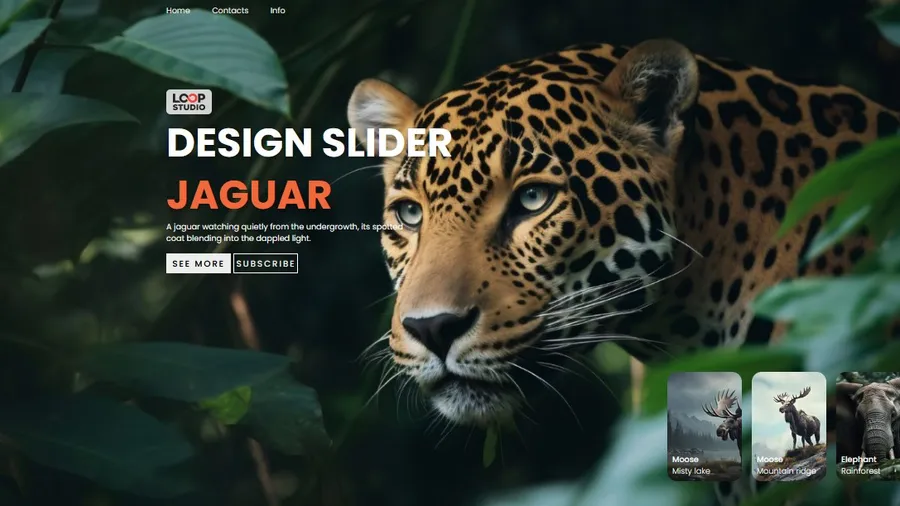 Animal slider